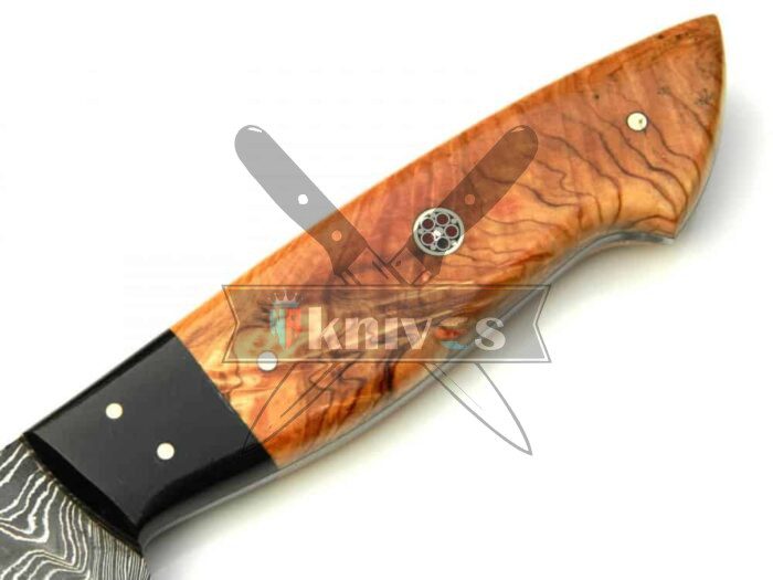 Kitchen Knife With Olive Wood Handle