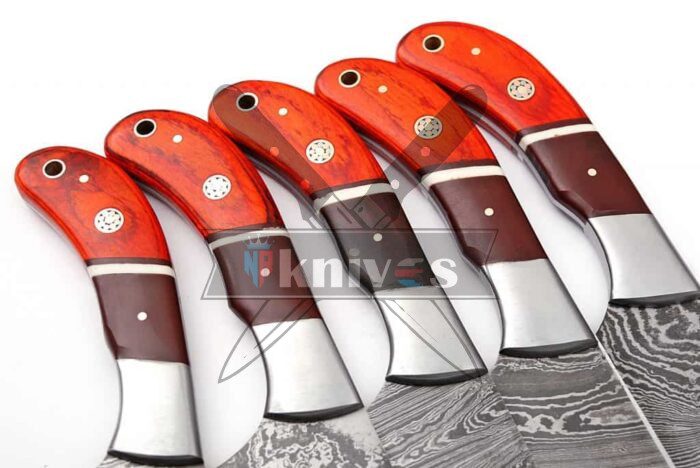 Kitchen Knives Set With Brown Micarta and Pakka Wood Handle